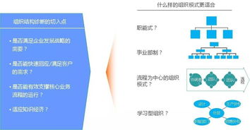 從組織設計到權責清晰 解碼管理升級落地的實踐路徑